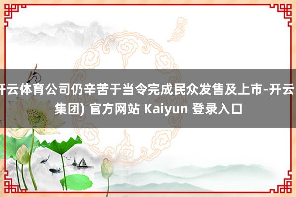 开云体育公司仍辛苦于当令完成民众发售及上市-开云 (集团) 官方网站 Kaiyun 登录入口