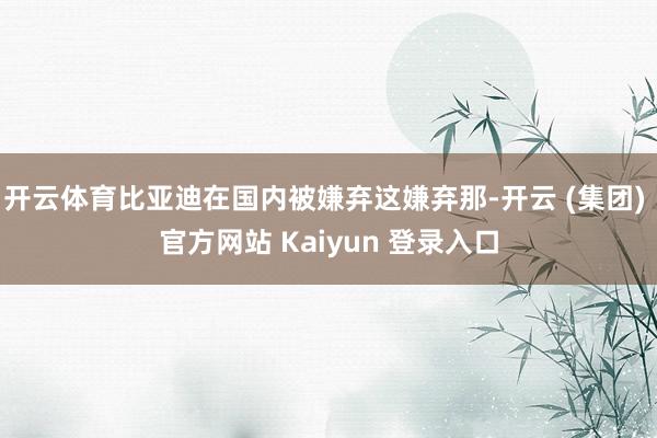 开云体育比亚迪在国内被嫌弃这嫌弃那-开云 (集团) 官方网站 Kaiyun 登录入口