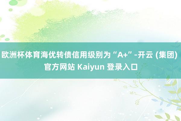 欧洲杯体育海优转债信用级别为“A+”-开云 (集团) 官方网站 Kaiyun 登录入口